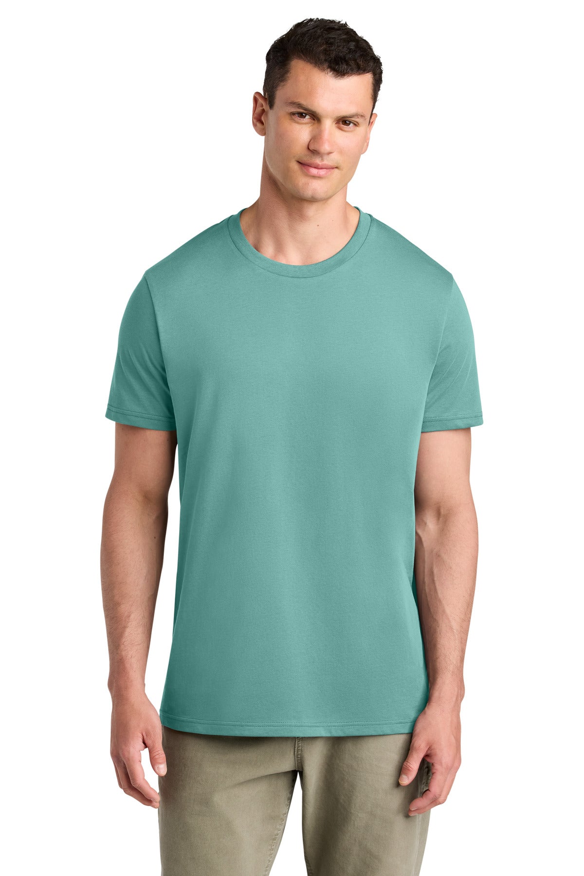 #color_teal monstera